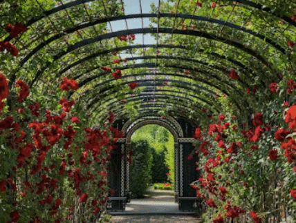 KWA GARDEN
